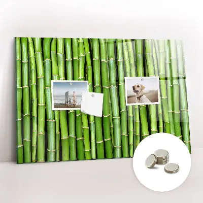 Magnetic glass dry erase board Bamboo wall