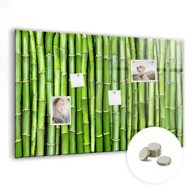 Magnetic glass dry erase board Bamboo wall