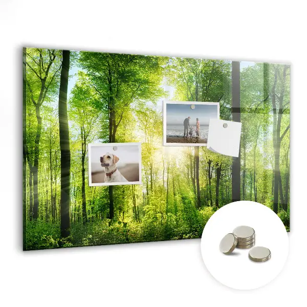nature forest trees design