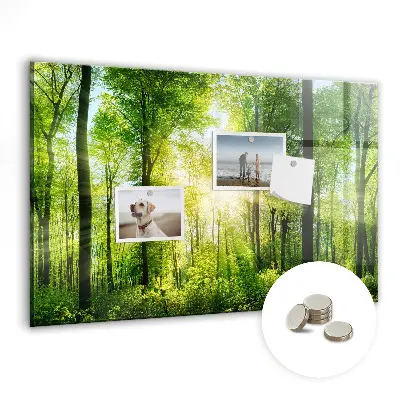nature forest trees design