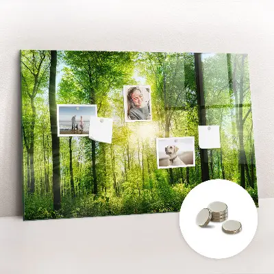 nature forest trees design