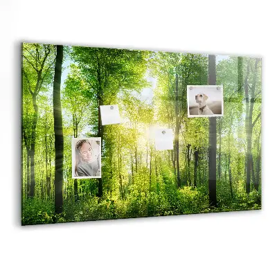 nature forest trees design