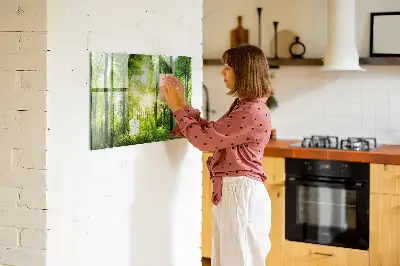 nature forest trees design