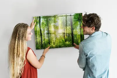 nature forest trees design