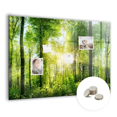 nature forest trees design