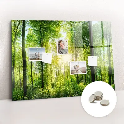 nature forest trees design