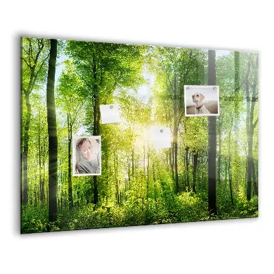 nature forest trees design