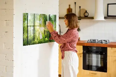 nature forest trees design