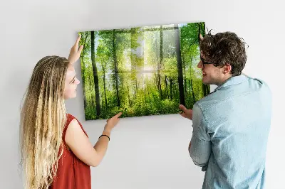 nature forest trees design
