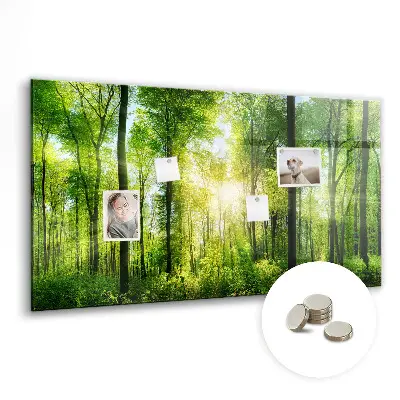 nature forest trees design