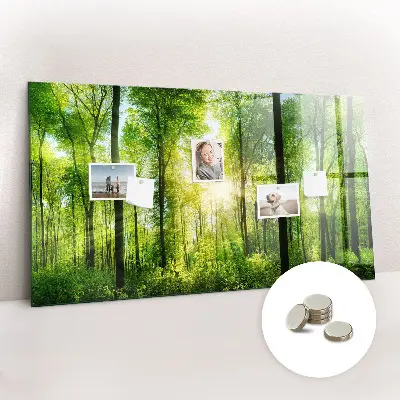 nature forest trees design