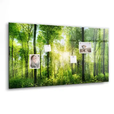 nature forest trees design