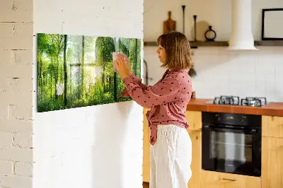 nature forest trees design