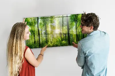 nature forest trees design