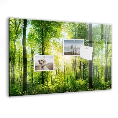 nature forest trees design