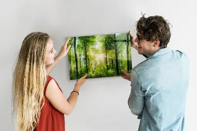 nature forest trees design