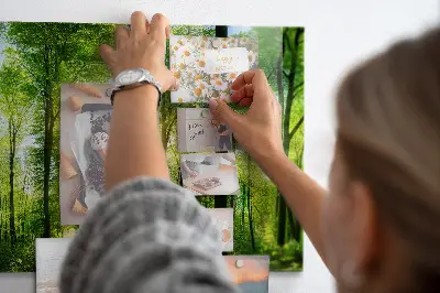 nature forest trees design