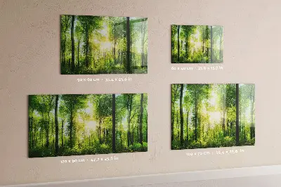 nature forest trees design