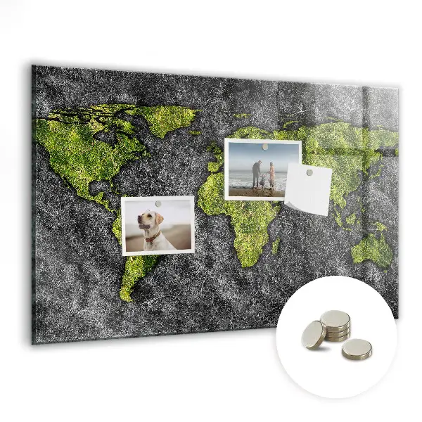 Magnetic wall board World map
