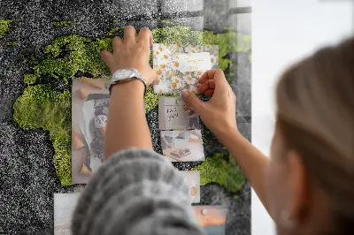 Magnetic World Map Wall Board