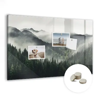 Magnetic wall board Forest landscape