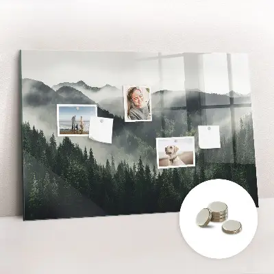Magnetic wall board Forest landscape