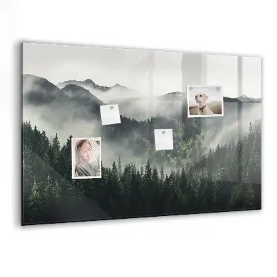 Magnetic wall board Forest landscape