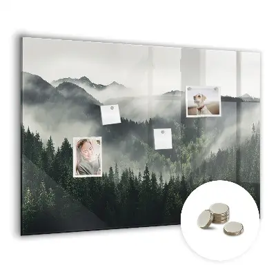Magnetic wall board Forest landscape