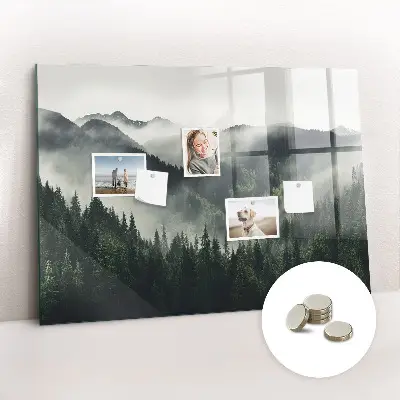 Magnetic wall board Forest landscape
