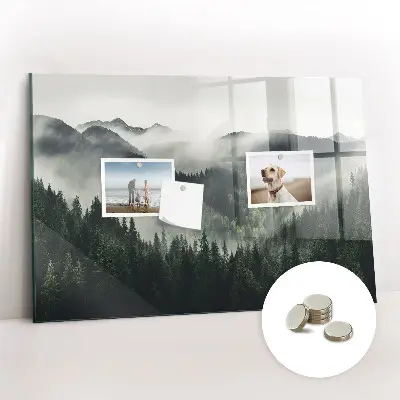 Magnetic wall board Forest landscape