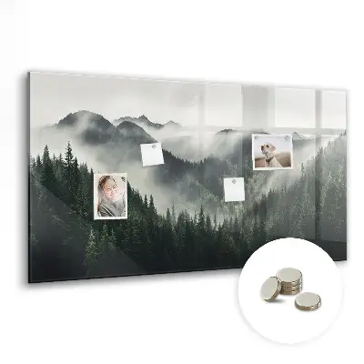 Magnetic wall board Forest landscape