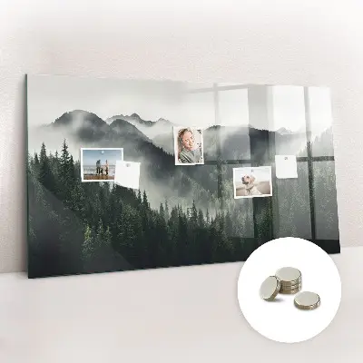 Magnetic wall board Forest landscape