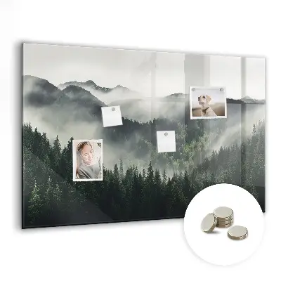 Magnetic wall board Forest landscape