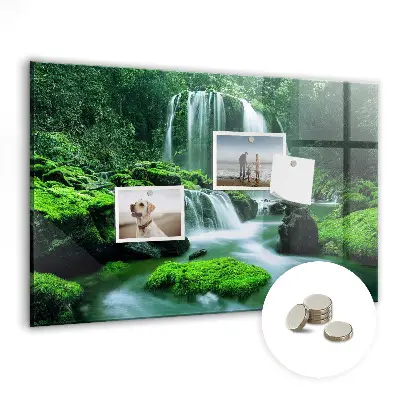 Magnet board Waterfall among the moss