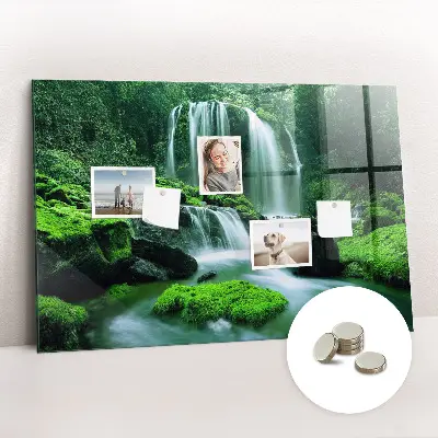 Magnet board Waterfall among the moss
