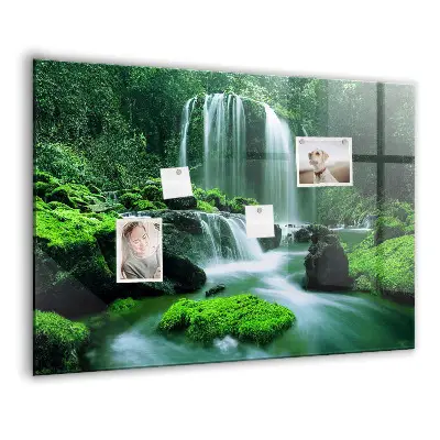 Magnet board Waterfall among the moss