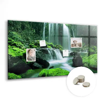 Magnet board Waterfall among the moss