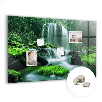 Magnet board Waterfall among the moss