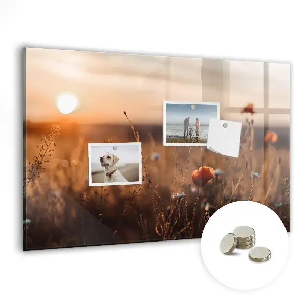 Magnetic glass dry erase board featuring a sunrise field design