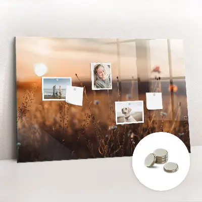 Magnetic glass dry erase board featuring a sunrise field design
