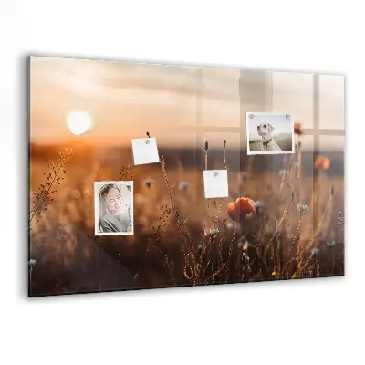 Magnetic glass dry erase board featuring a sunrise field design
