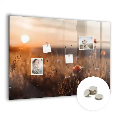 Magnetic glass dry erase board featuring a sunrise field design
