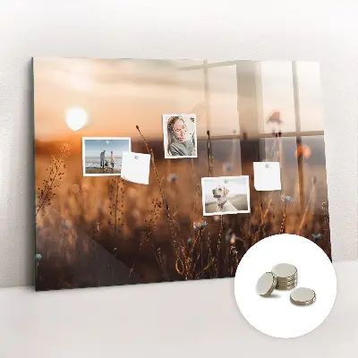 Magnetic glass dry erase board featuring a sunrise field design
