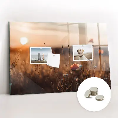 Magnetic glass dry erase board featuring a sunrise field design