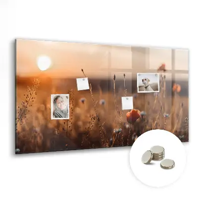Magnetic glass dry erase board featuring a sunrise field design