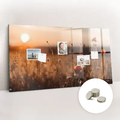 Magnetic glass dry erase board featuring a sunrise field design