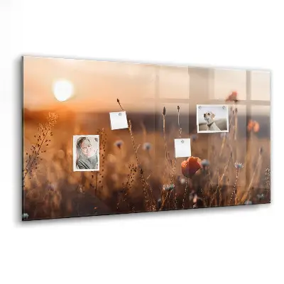 Magnetic glass dry erase board featuring a sunrise field design