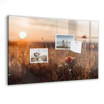 Magnetic glass dry erase board featuring a sunrise field design