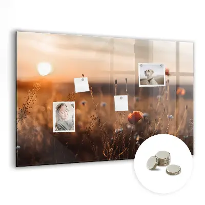 Magnetic glass dry erase board featuring a sunrise field design