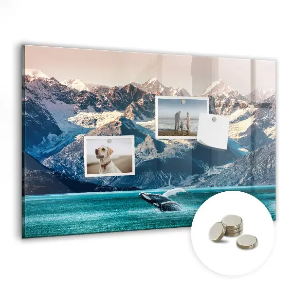 Whale themed magnetic wall board